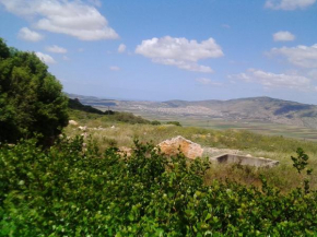  Shapira in the Galilee  Beit Rimon